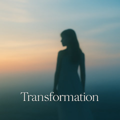 Sistronka - Transformation