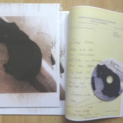 MEOW! (FLUX ON DEMAND 032)