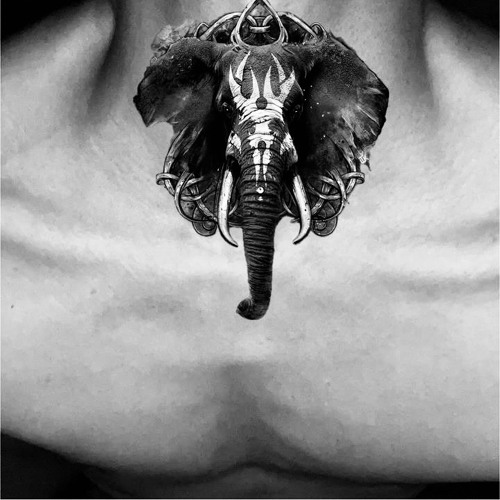 ℐ𝓋𝒶𝓃𝒳 ℰ𝓁ℯ𝓅𝒽𝒶𝓃𝓉 𝒾𝓃 𝓉𝒽ℯ ℛℴℴ𝓂 snippet🐘