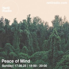 Peace of Mind - 17th August 2025