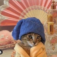 chrys's covid birthday song