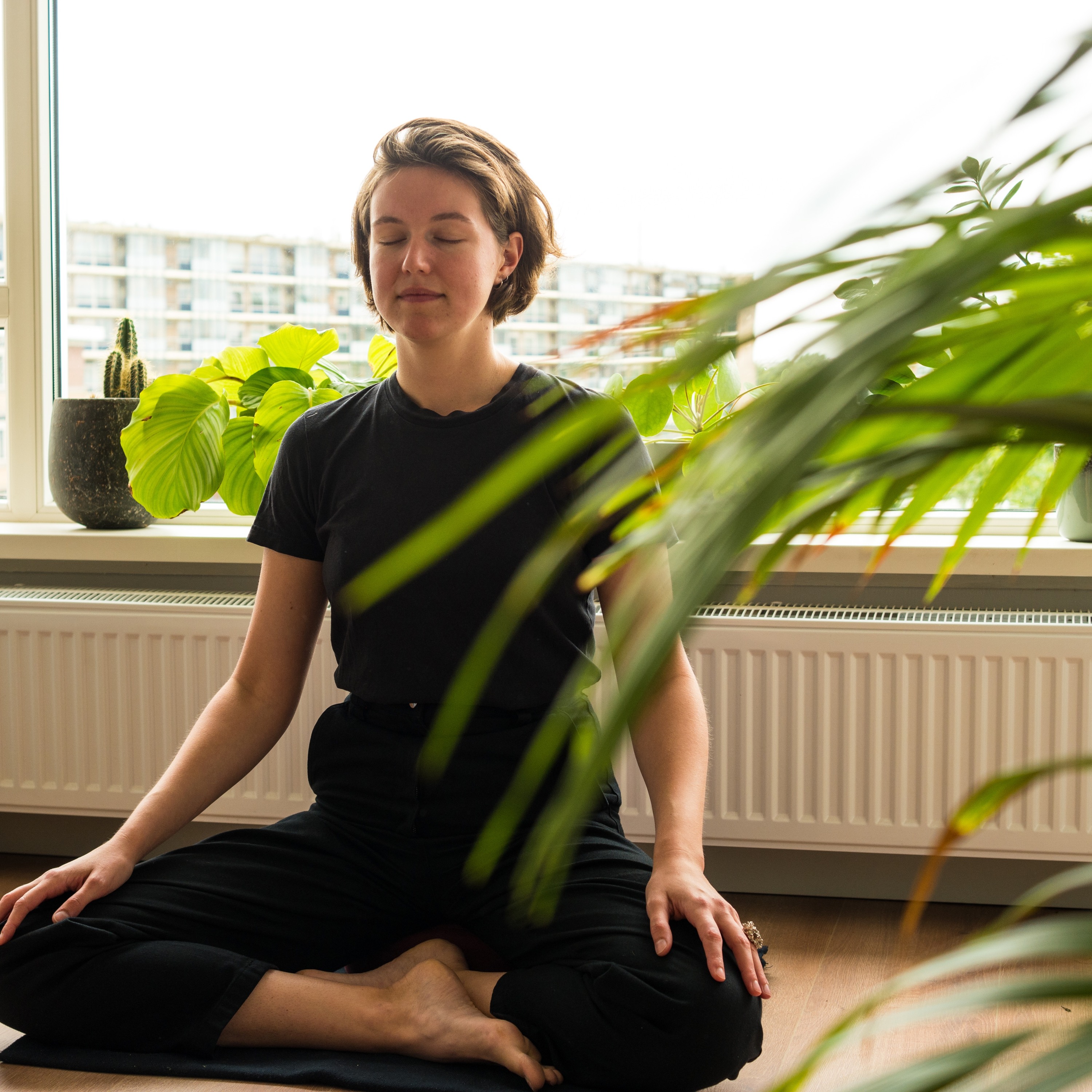 Meditatie - Leef! episode artwork