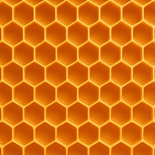 HIVE