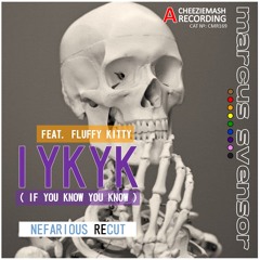 Marcus Svensor Feat. Fluffy Kitty - IYKYK (If You Know You Know) [Nefarious Recut]