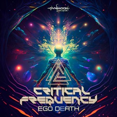 03 - Critical Frequency - Living The Purpose