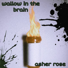 WALLOW IN THE BRAIN