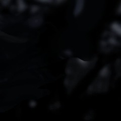 no more tears / 人工智能