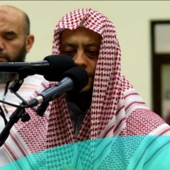 سورة الإنسان كاملة || الشيخ محمد اسماعيل العديني || روائع الفجر