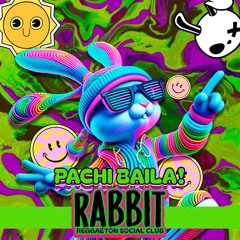 Rabbit Special Reggaeton Mix