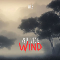 Silver Wind