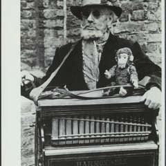 Music Box Sample Pack Teaser