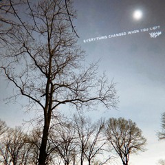 everything changed when you left (feat. carmela donna)