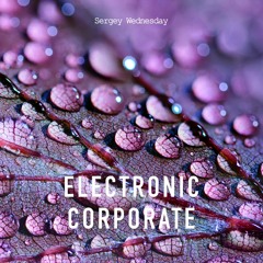 Sergey Wednesday - Electronic Corporate (Original Mix)