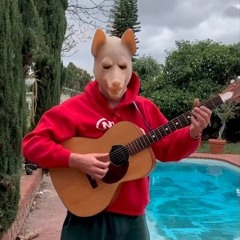 Chamber of reflection (cover)