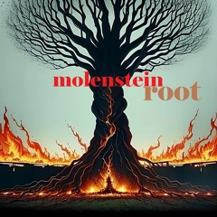 Root