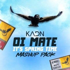 OI MATE ITS SPRING TIME MASHUP PACK