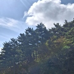 사천산 死天山 (Sacheon Mountain) (Prod. $ky Wide) | 황홀하고 고요한 동양풍 BGM (Ecstatic & Tranquil Oriental BGM)