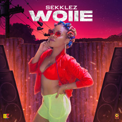 SEKKLEZ - WOIIE