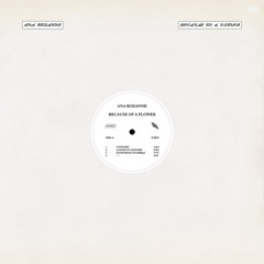 Fresh Finds Experimental: Best of 2021