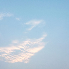 Soaring High