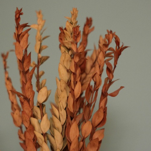 Hodu, Psalm 136 (Shomrim Hafked Melody)