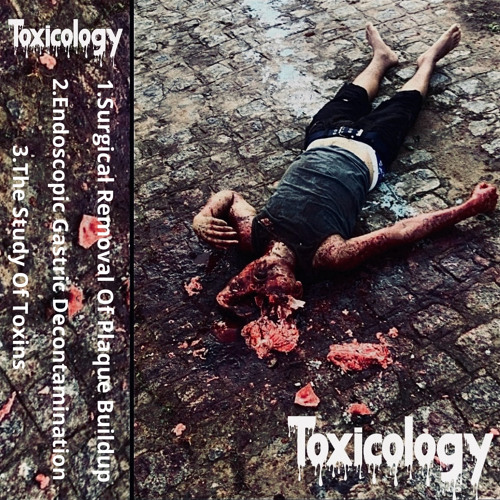 Toxicology - 3 Track Demo(2024)(Goregrind)