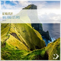 Wilring Stars (Radio edit)release on 2022-11-21 on Nicksher Music