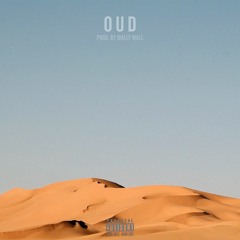 [FREE] Oud - UK Drill Type Beat | Arabic Trap Beat (prod. by Wally Wall)