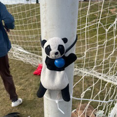 Happy Hanging!