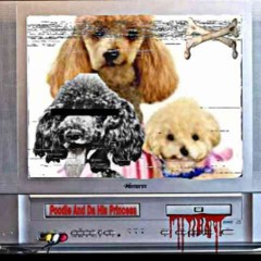 Poodle And Da His Princess