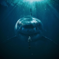 Sharkin (prod@X5)