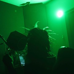 Fast Prod. Molly1