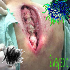 2 WAY SPLIT (KRUD x MOEBIUS PORNO) (HYPER GORENOISE/GORENOISE/GOREGRIND)