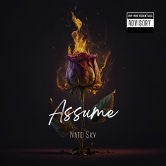 Nate Sky- Assume (OFFICIAL AUDIO)