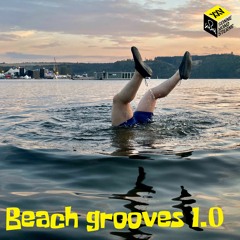 SMS XXV - Beach Grooves 1.0 - free download