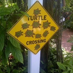 dank (prod.d1sgrace)