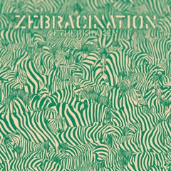 Zebracination