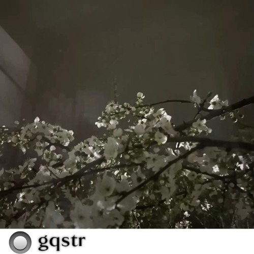 bad kid - gqstr