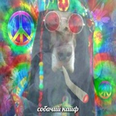 собачий кайф