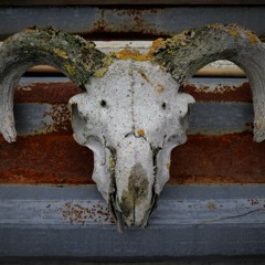 E Minor Suite - Against The Tide, Coronacoaster And Promise Of Summer