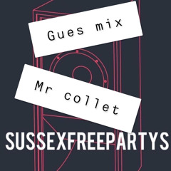 sussexfreepartys guest mix - Mr collett