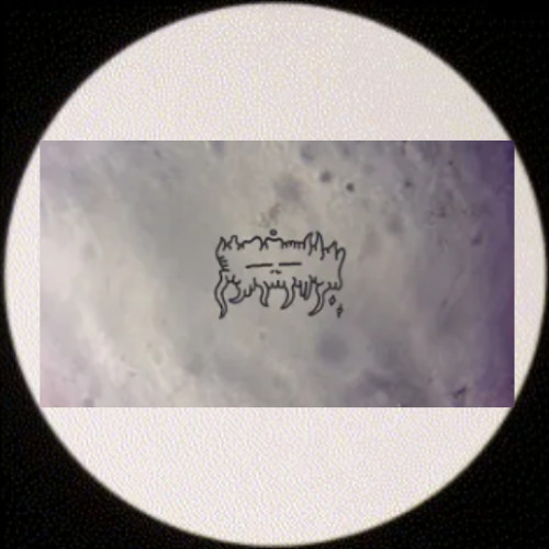 Amnezia Presents: Resident Memory - S+MPL Sessions #004