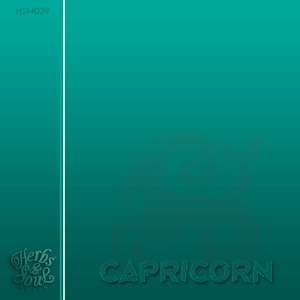 SoulPoizen - Capricorn (Original Mix)