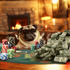 『跳楼机✘身骑白马✘今晚我是你的人✘忘了✘真的用了心✘根本你不懂得愛我✘姑娘别哭泣』 🔥 HOUSE LAK 2025 REQ BY Mr.J