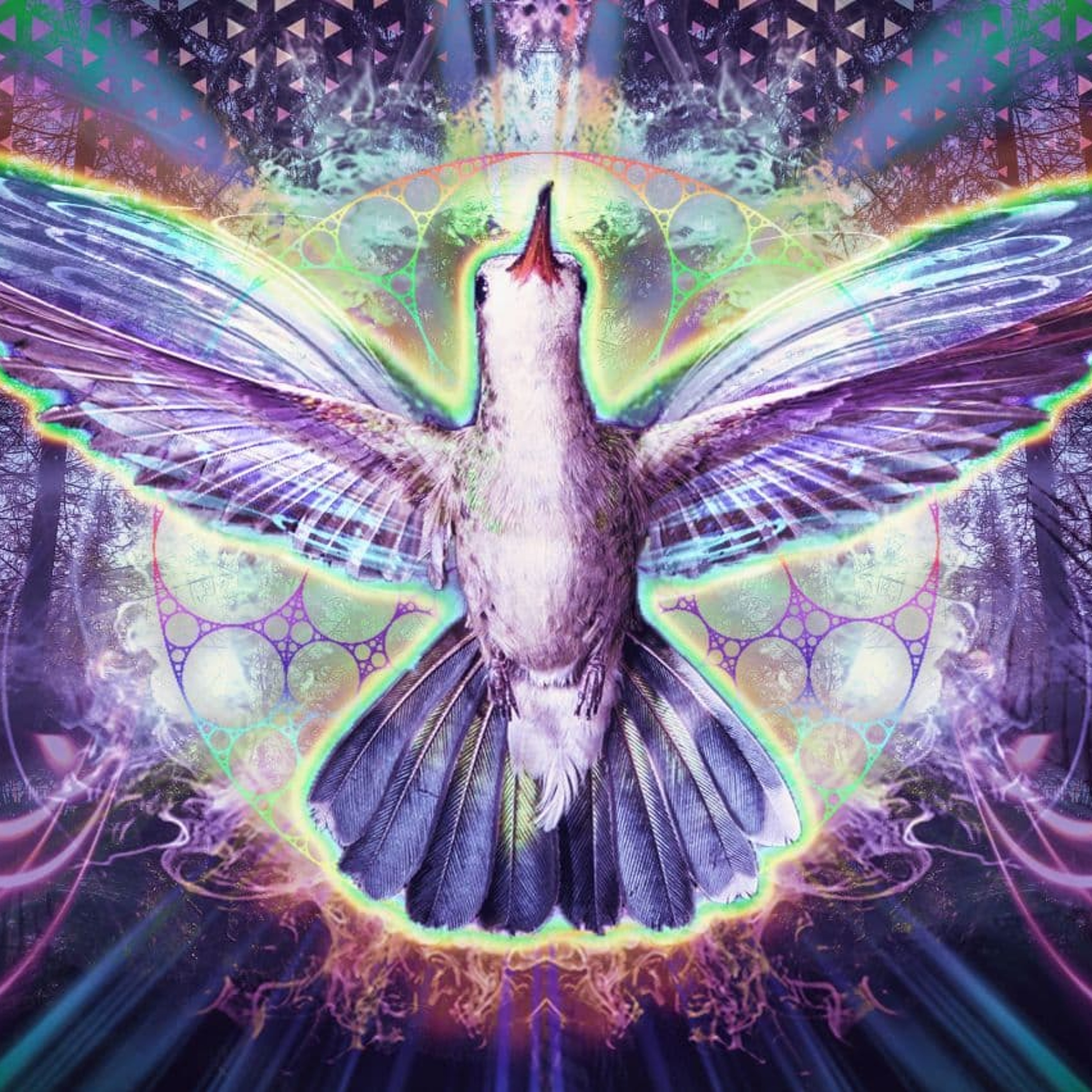 Dimensional Shift