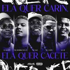 ELA QUER CARIN, ELA QUER CACETE - MC SACI, MC RODRIGO DO CN, MC ANJIM - DJ JR, DJ GUIZIM