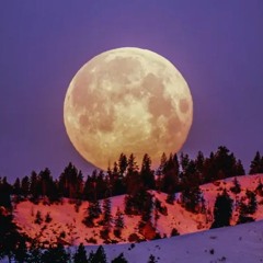 Cold Sober Moonlight