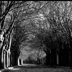 اياد الريماوي/ لو