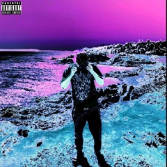 FEEL prod. under the maple tree