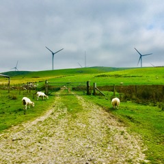 Josh Ray's Outer Time w/ Midnight Scran - August 2020